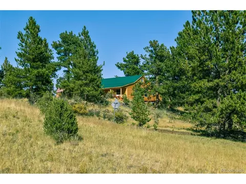 321 Bobcat Ln, Guffey, CO 80820 photo 22
