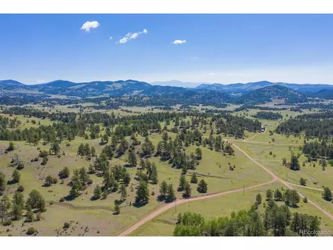 321 Bobcat Ln, Guffey, CO 80820 photo 36