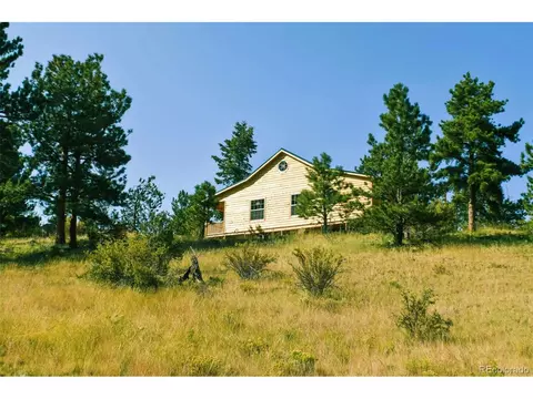 321 Bobcat Ln, Guffey, CO 80820 photo 28