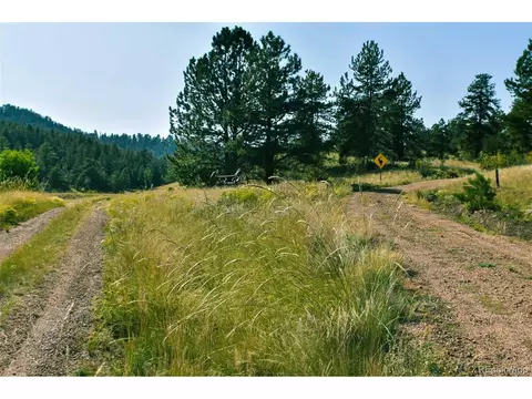 321 Bobcat Ln, Guffey, CO 80820 photo 21