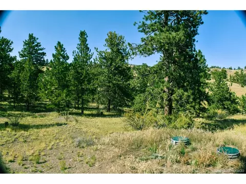 321 Bobcat Ln, Guffey, CO 80820 photo 17