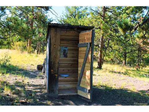 321 Bobcat Ln, Guffey, CO 80820 photo 15