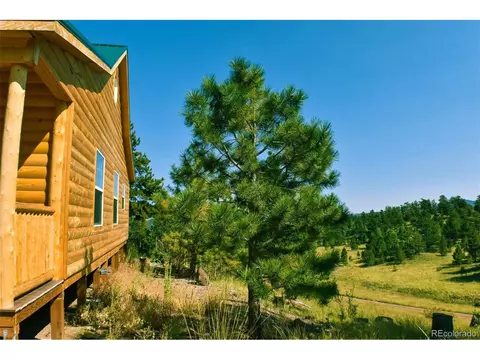 321 Bobcat Ln, Guffey, CO 80820 photo 3