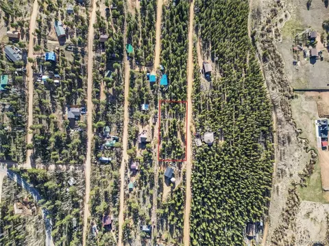272 Wise Rd, Bailey, CO 80421 photo 3