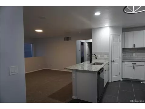 18654 E 46th Pl, Denver, CO 80249 photo 29