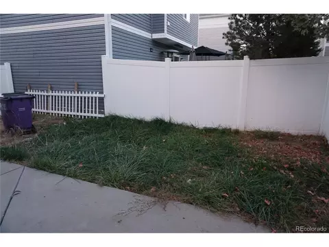 18654 E 46th Pl, Denver, CO 80249 photo 48