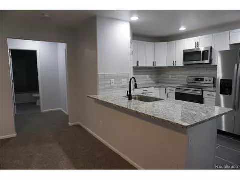 18654 E 46th Pl, Denver, CO 80249 photo 34