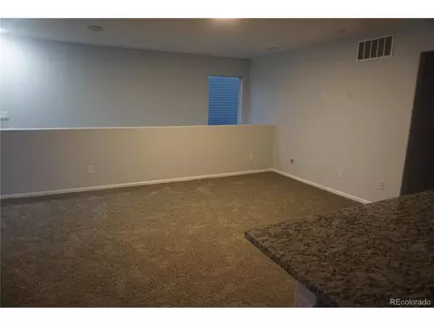 18654 E 46th Pl, Denver, CO 80249 photo 38