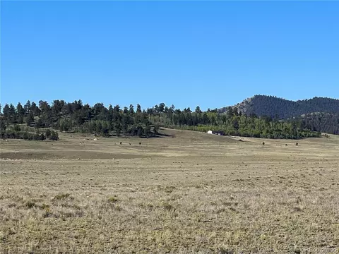 1348 Apache Trl, Hartsel, CO 80449 photo 9