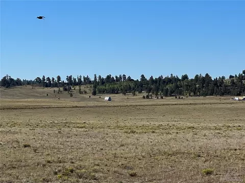 1348 Apache Trl, Hartsel, CO 80449 photo 11