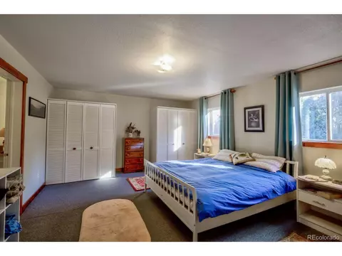 203 Hampton Run, Mosca, CO 81146 photo 22