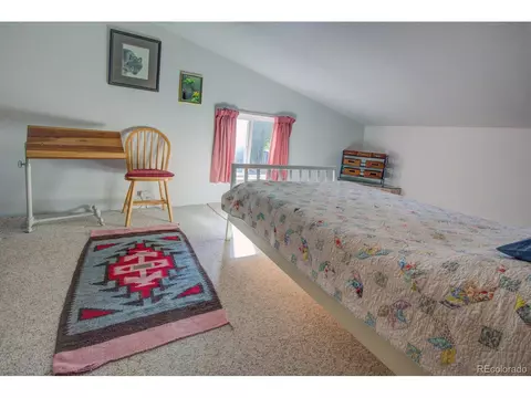 203 Hampton Run, Mosca, CO 81146 photo 24