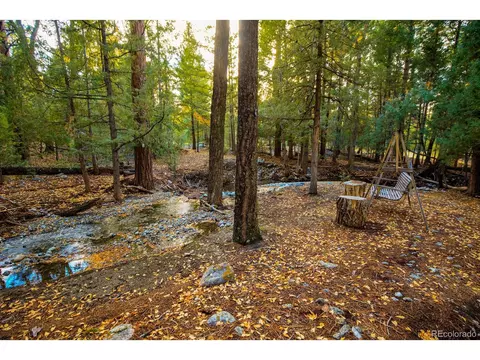 203 Hampton Run, Mosca, CO 81146 photo 29