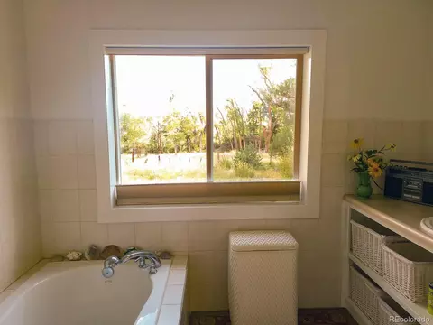 203 Hampton Run, Mosca, CO 81146 photo 20