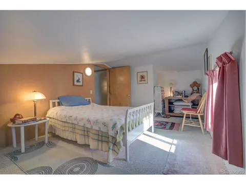 203 Hampton Run, Mosca, CO 81146 photo 25