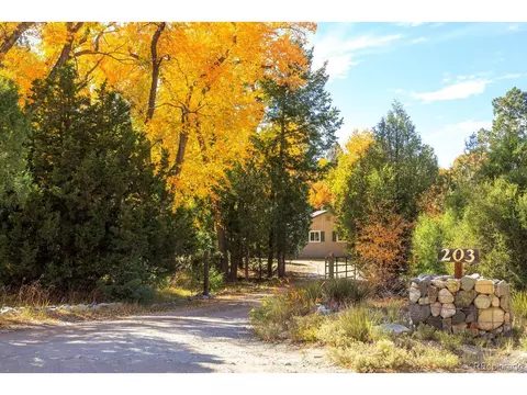 203 Hampton Run, Mosca, CO 81146 photo 2