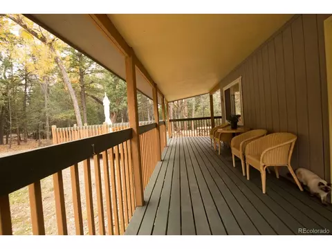 203 Hampton Run, Mosca, CO 81146 photo 9