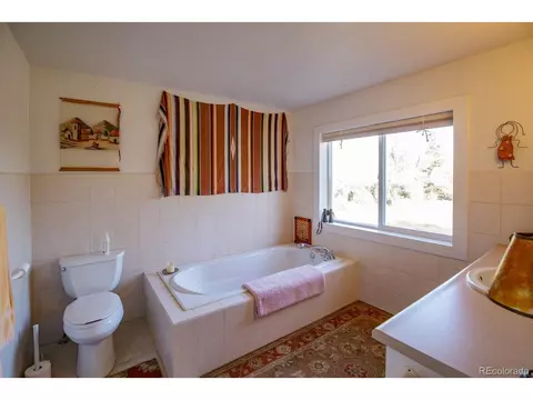 203 Hampton Run, Mosca, CO 81146 photo 19