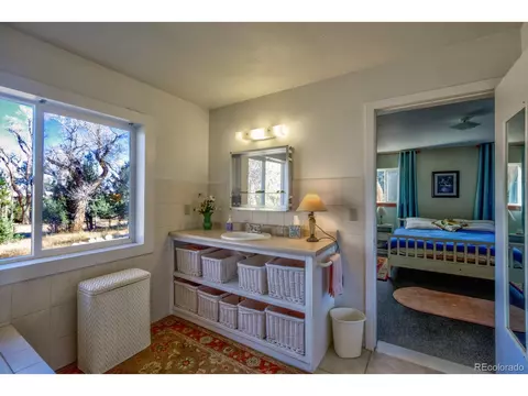 203 Hampton Run, Mosca, CO 81146 photo 21