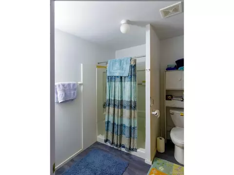 203 Hampton Run, Mosca, CO 81146 photo 23