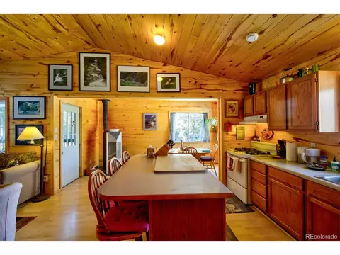 203 Hampton Run, Mosca, CO 81146 photo 14