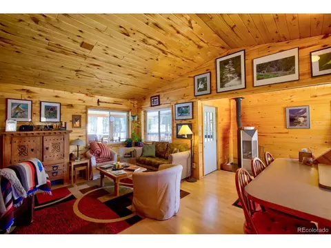203 Hampton Run, Mosca, CO 81146 photo 13