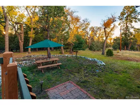 203 Hampton Run, Mosca, CO 81146 photo 8