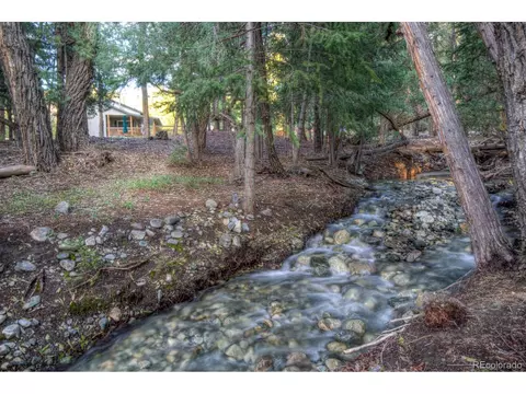 203 Hampton Run, Mosca, CO 81146 photo 33