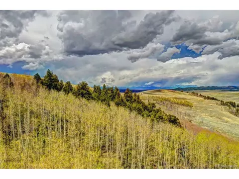 1391 Jicarilla Trl, Hartsel, CO 80449