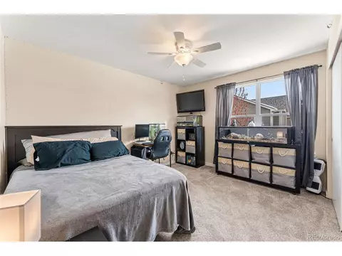 166 Apache Plume Ct, Brighton, CO 80601 photo 24