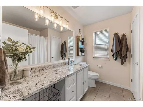 166 Apache Plume Ct, Brighton, CO 80601 photo 25