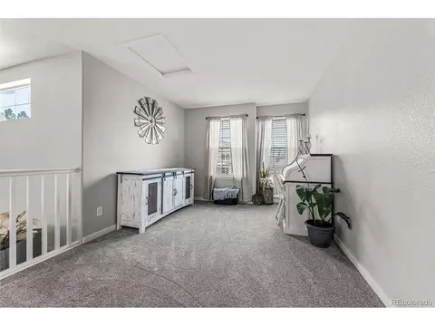 166 Apache Plume Ct, Brighton, CO 80601 photo 19