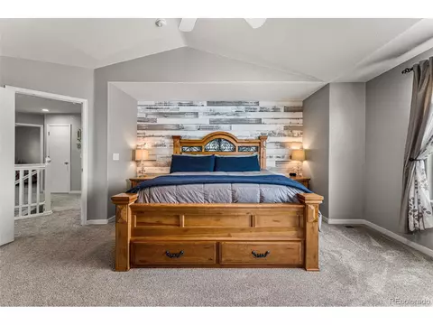 166 Apache Plume Ct, Brighton, CO 80601 photo 21