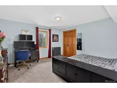 Bedroom - 136 Nova Ln, Pine, CO 80470 photo 6 of 6