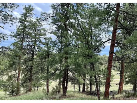 0 18th Trl, Cotopaxi, CO 81223