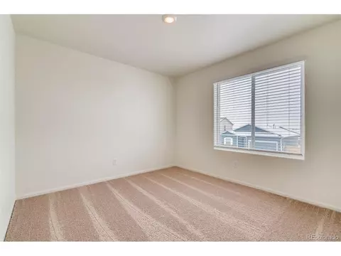 889 Emerald Lakes St, Windsor, CO 80550 photo 17