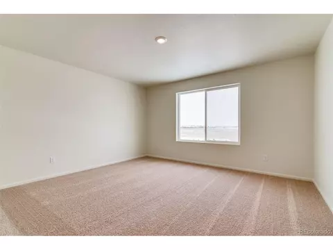 889 Emerald Lakes St, Windsor, CO 80550 photo 14