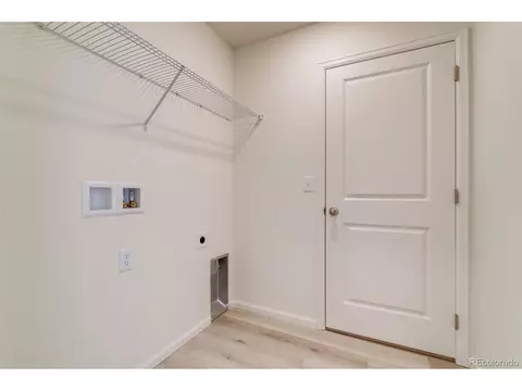 889 Emerald Lakes St, Windsor, CO 80550 photo 22