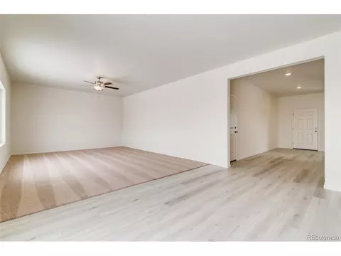 889 Emerald Lakes St, Windsor, CO 80550 photo 11