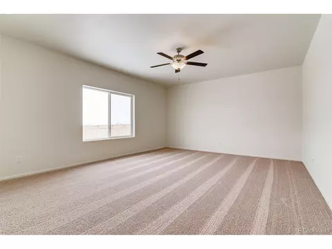 889 Emerald Lakes St, Windsor, CO 80550 photo 3