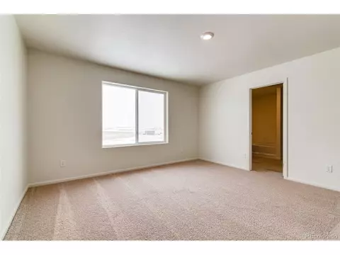889 Emerald Lakes St, Windsor, CO 80550 photo 15
