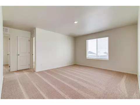 889 Emerald Lakes St, Windsor, CO 80550 photo 21