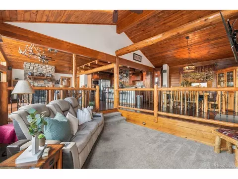 Living - 407 Old Sawmill Rd, Bailey, CO 80421 photo 4 of 8