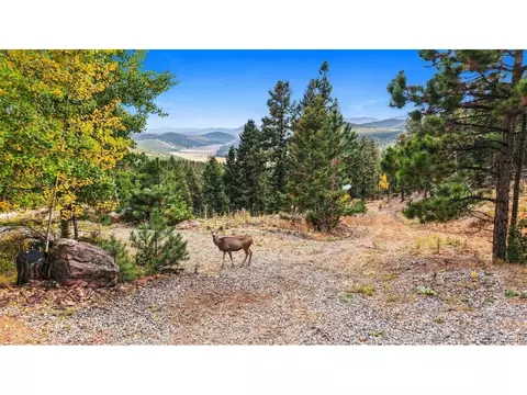 Exterior - 407 Old Sawmill Rd, Bailey, CO 80421 photo 8 of 9