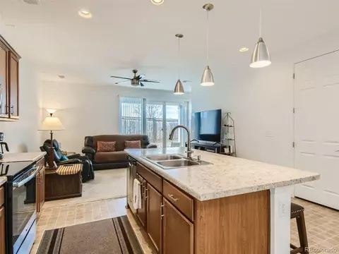 4130 E 96th Pl, Thornton, CO 80229 photo 12