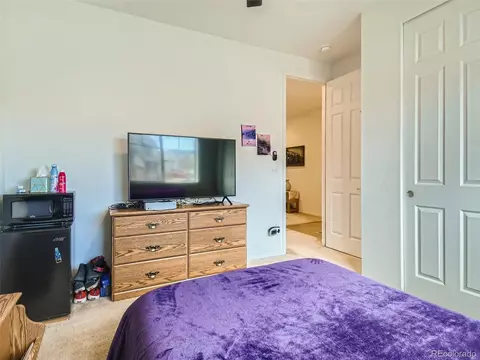 4130 E 96th Pl, Thornton, CO 80229 photo 21