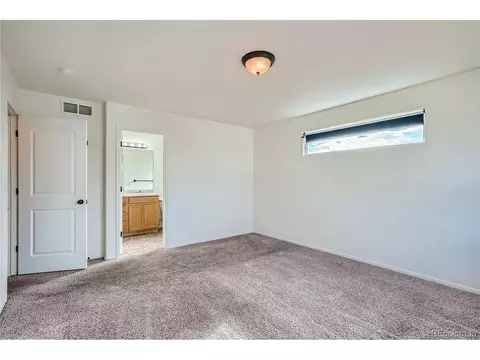 314 Cherryridge Dr, Windsor, CO 80550 photo 19