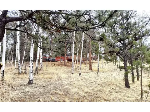 103 Adair Cir, Florissant, CO 80816