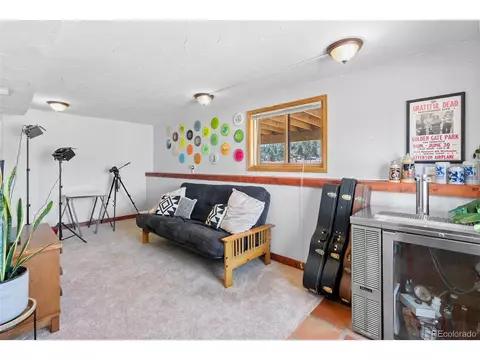 802 Burland Dr, Bailey, CO 80421 photo 22