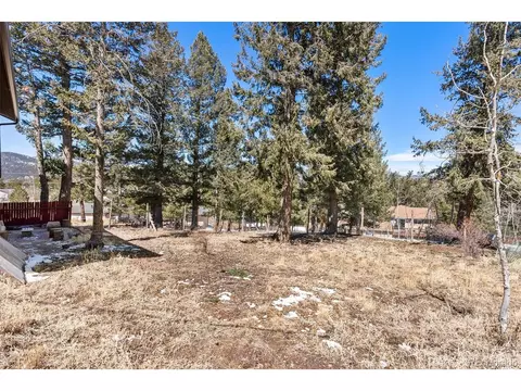 802 Burland Dr, Bailey, CO 80421 photo 27